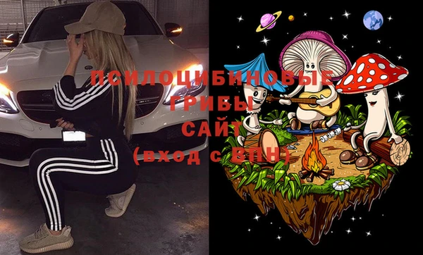 мдпв Володарск