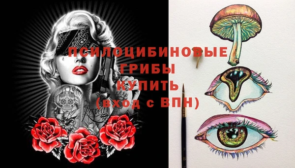 мдпв Володарск