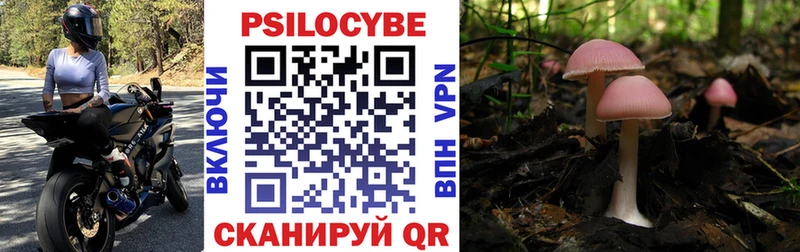 Псилоцибиновые грибы Cubensis  hydra сайт  Сургут 